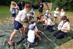 biberbilder_aus_2021_20210911_1539662862